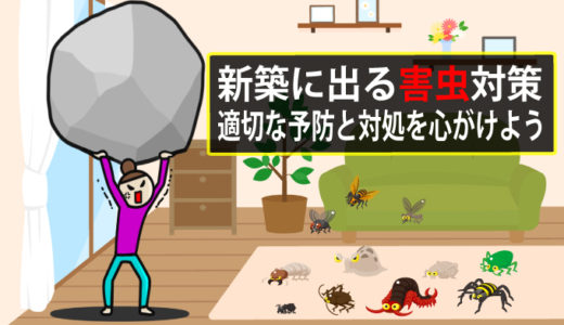新築でもネズミは侵入する ネズミの侵入経路と種類に応じた駆除方法 コノイエ
