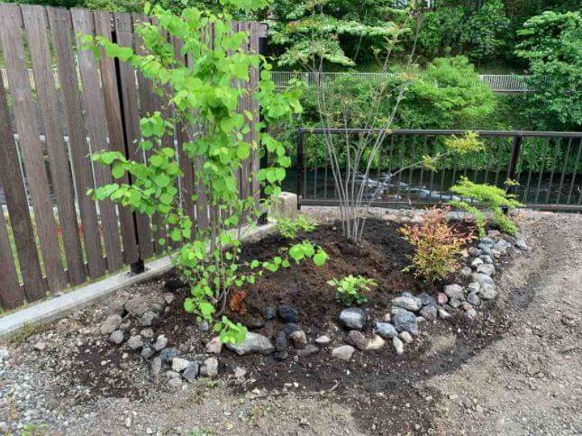 庭の植栽DIYの事例写真